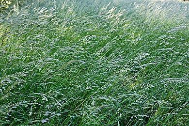 好评合作恐怖射击游戏《斯盖尔仪式》公布路线图